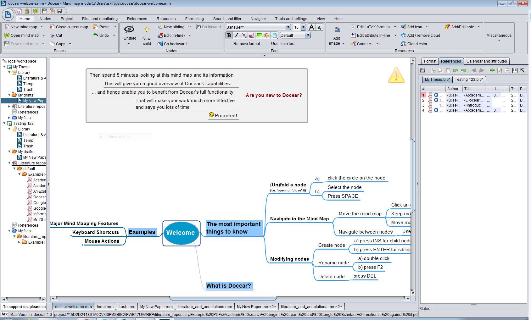Screenshot of Docear demo mindmap 