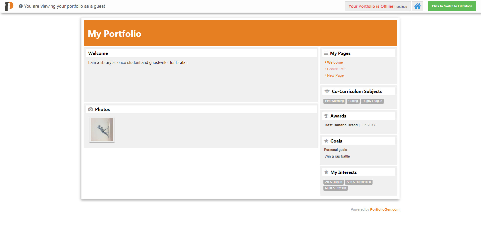 Portfolio homepage with default settings